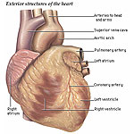 Ovjereni medicinski prijevodi